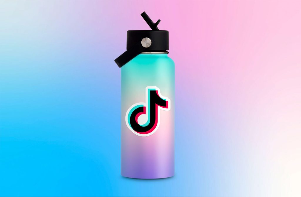 tiktok video downloader